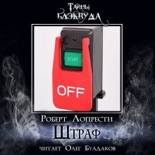 обложка аудиокниги Штраф