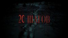 обложка аудиокниги 20 шагов