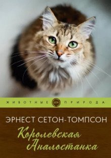 обложка аудиокниги Королевская Аналостанка