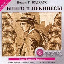 обложка аудиокниги Бинго и Пекинесы