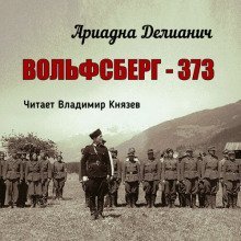 обложка аудиокниги Вольфсберг-373