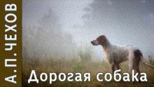 обложка аудиокниги Дорогая собака