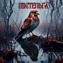 обложка аудиокниги Пустельга