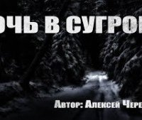 обложка аудиокниги Ночь в сугробе
