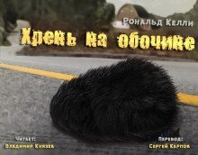 обложка аудиокниги Хрень на обочине