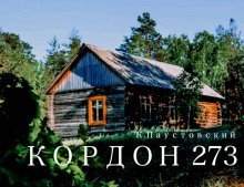 обложка аудиокниги Кордон 273