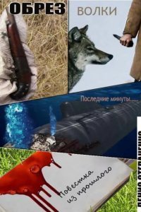 обложка аудиокниги Непридуманные истории