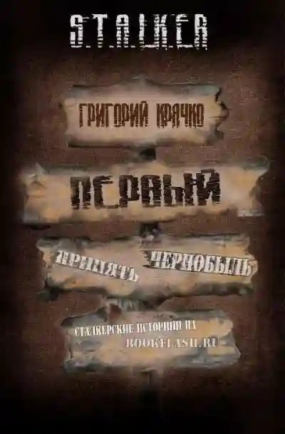 обложка аудиокниги S.T.A.L.K.E.R. Первый