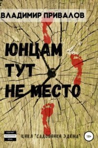 обложка аудиокниги Юнцам тут не место