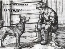 обложка аудиокниги В тундре