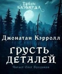 обложка аудиокниги Грусть деталей