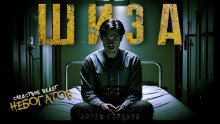обложка аудиокниги Шиза