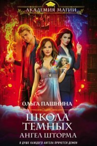 обложка аудиокниги Школа темных 3. Ангел шторма