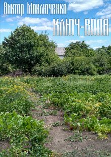 обложка аудиокниги Ключ-вода