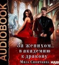 обложка аудиокниги За женихом… В академию к дракону