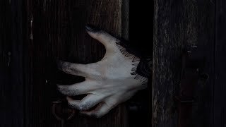 обложка аудиокниги Откуда снег в такое время года...