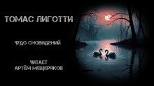 обложка аудиокниги Чудо сновидений