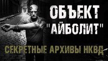 обложка аудиокниги Секретные архивы НКВД. Объект 