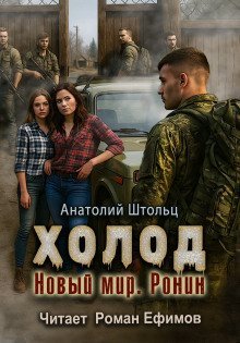 обложка аудиокниги Холод-5. Новый мир. Ронин