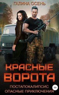 обложка аудиокниги Красные ворота