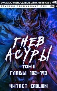обложка аудиокниги Гнев Асуры. Том 9