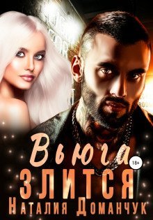 обложка аудиокниги Вьюга злится