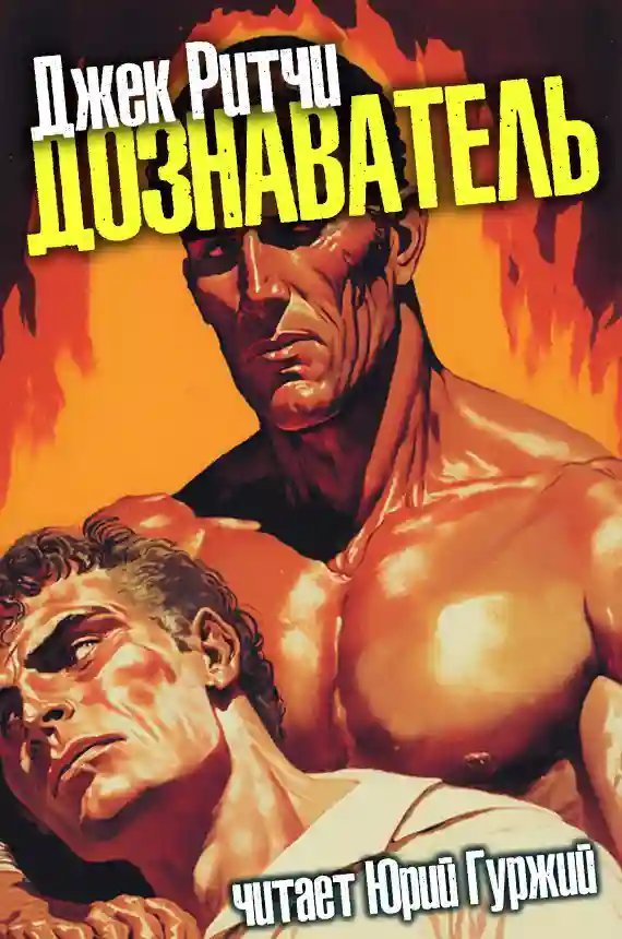 обложка аудиокниги Дознаватель