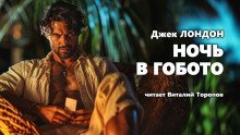 обложка аудиокниги Ночь в Гобото
