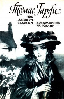 обложка аудиокниги Возвращение на родину