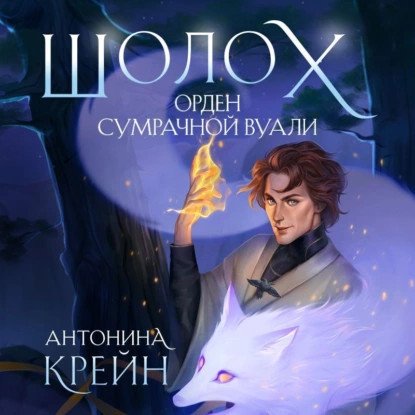 обложка аудиокниги Шолох 5. Орден Сумрачной Вуали