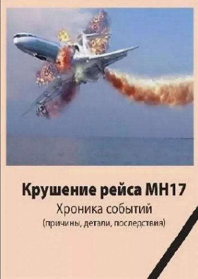 обложка аудиокниги Крушение рейса МН17. Хроника событий