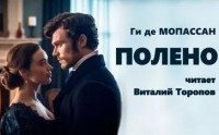 обложка аудиокниги Полено