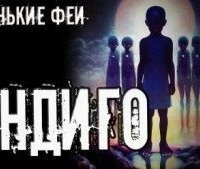 обложка аудиокниги Маленькие феи 1. Индиго