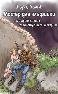 обложка аудиокниги Мастер для эльфийки, или приключения странствующего электрика