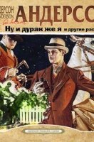 обложка аудиокниги Ну и дурак же я