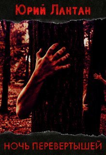 обложка аудиокниги Ночь перевёртышей