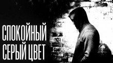обложка аудиокниги Спокойный серый цвет