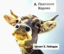 обложка аудиокниги Корова