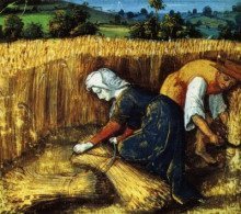 обложка аудиокниги Жаноти