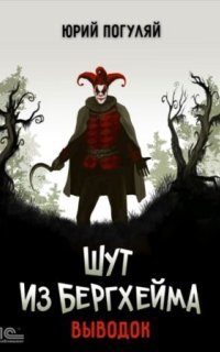 обложка аудиокниги Шут из Бергхейма 1. Выводок