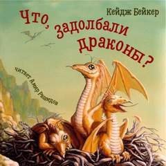 обложка аудиокниги Что, задолбали драконы?