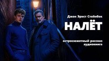 обложка аудиокниги Налёт