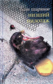 обложка аудиокниги Низший пилотаж