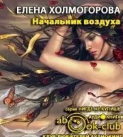 обложка аудиокниги Начальник воздуха