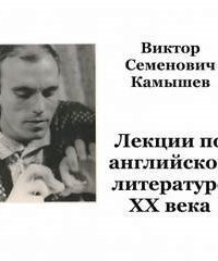 обложка аудиокниги Английская литература ХХ века