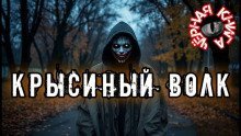 обложка аудиокниги Крысиный волк
