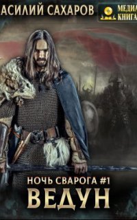 обложка аудиокниги Ночь Сварога 1. Ведун