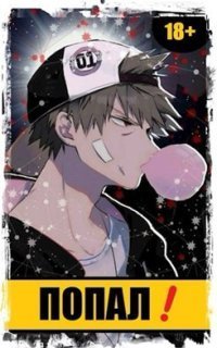 обложка аудиокниги Чемпион 1. Попал!