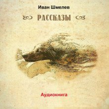 обложка аудиокниги Последний выстрел