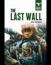 обложка аудиокниги Последняя стена
